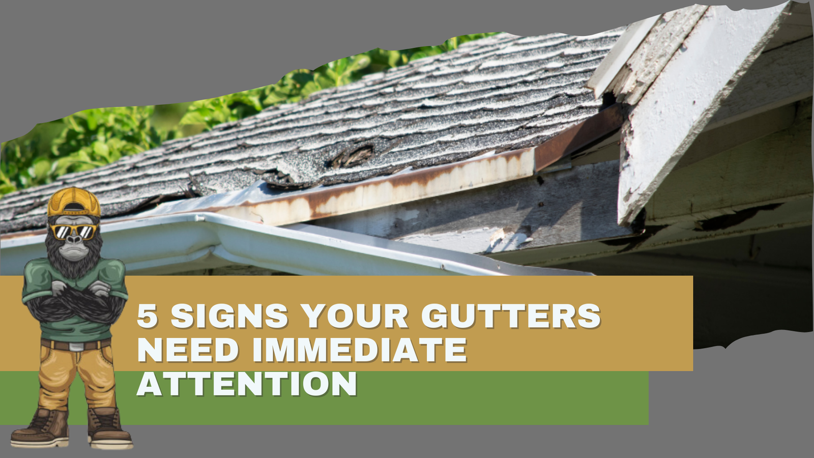 5 Signs Your Gutters Need Immediate Attention