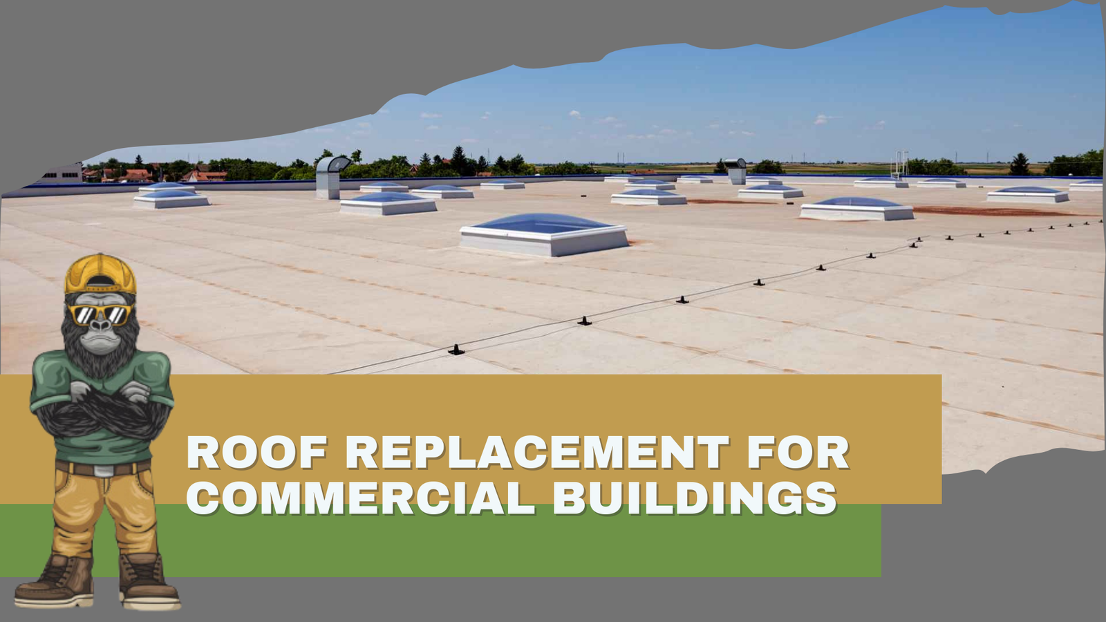 Understanding the Importance of Commercial Roof Replacemen